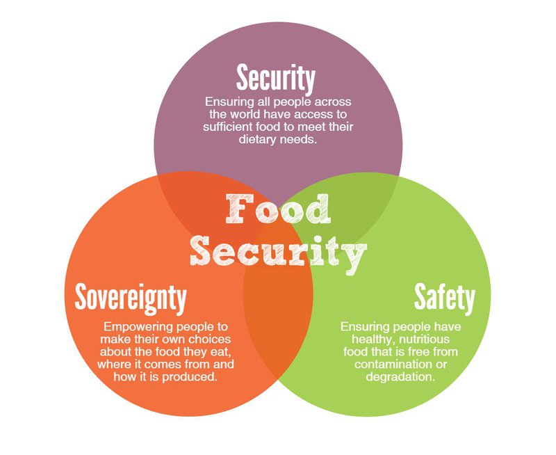 Define Food Insecurity Easy